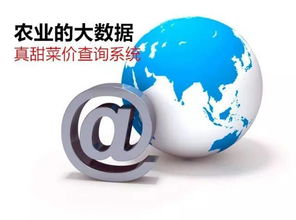 農業(yè)信息革命 告別“現(xiàn)代社會原始人”，擁抱“真甜菜價查詢系統(tǒng)”的魔力